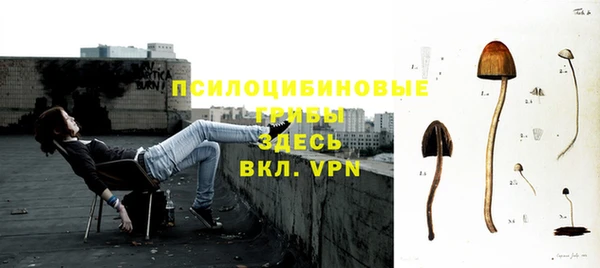 apvp Приозерск