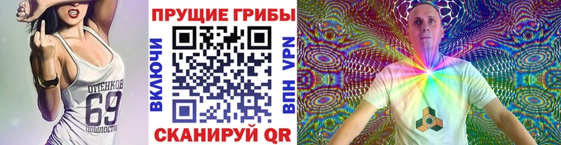 Купить закладки  Сердобск  Псилоцибиновые грибы Magic Shrooms 